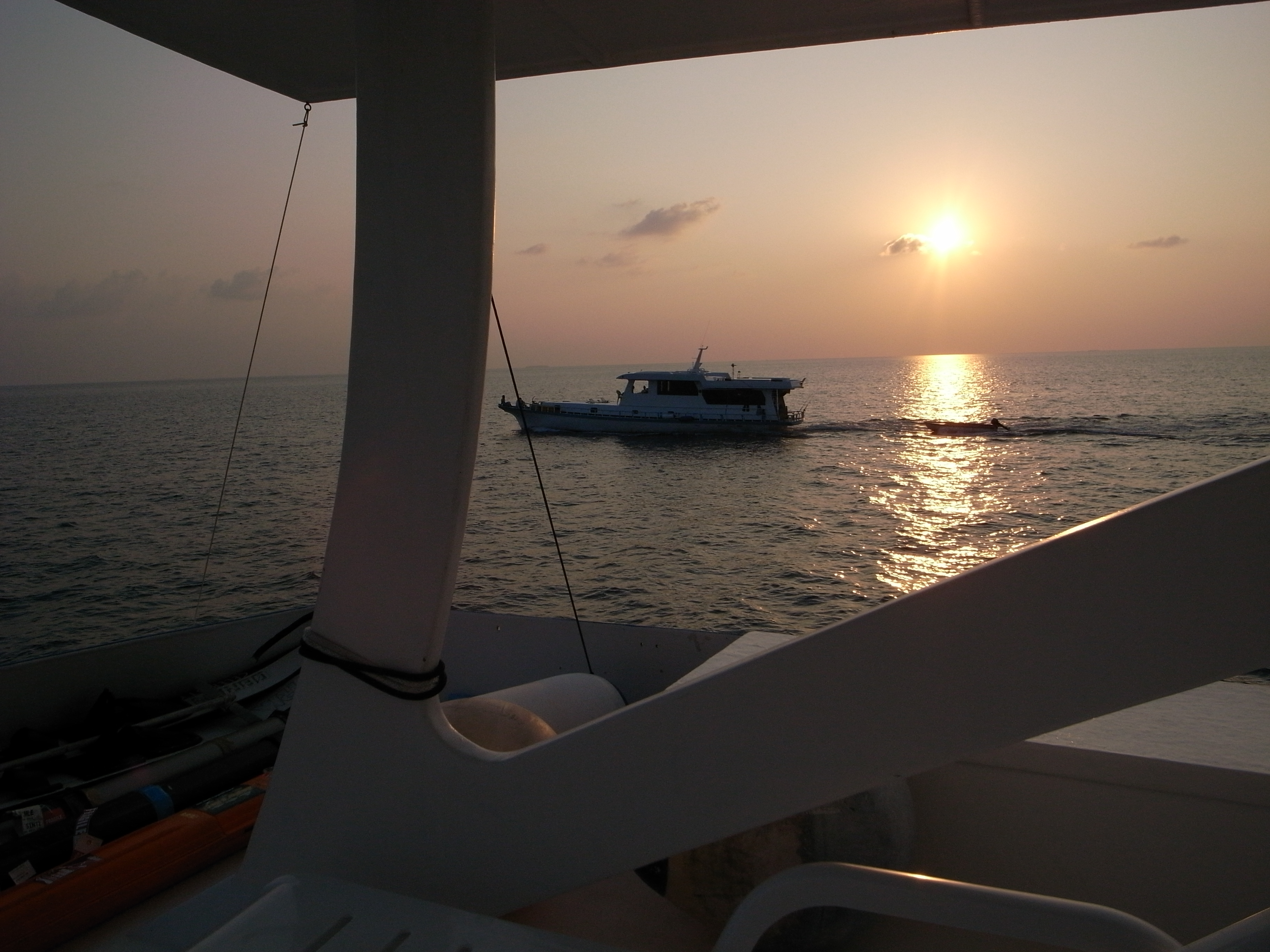 Dorado Mania | ドラドマニア ちょっぴりガチ勢の釣りブログ